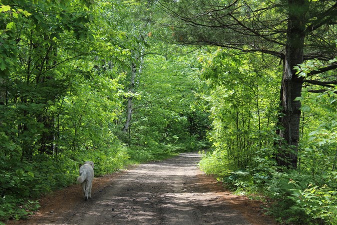 Parry Sound KOA Holiday