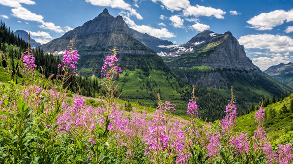 Northern Rockies & Plains