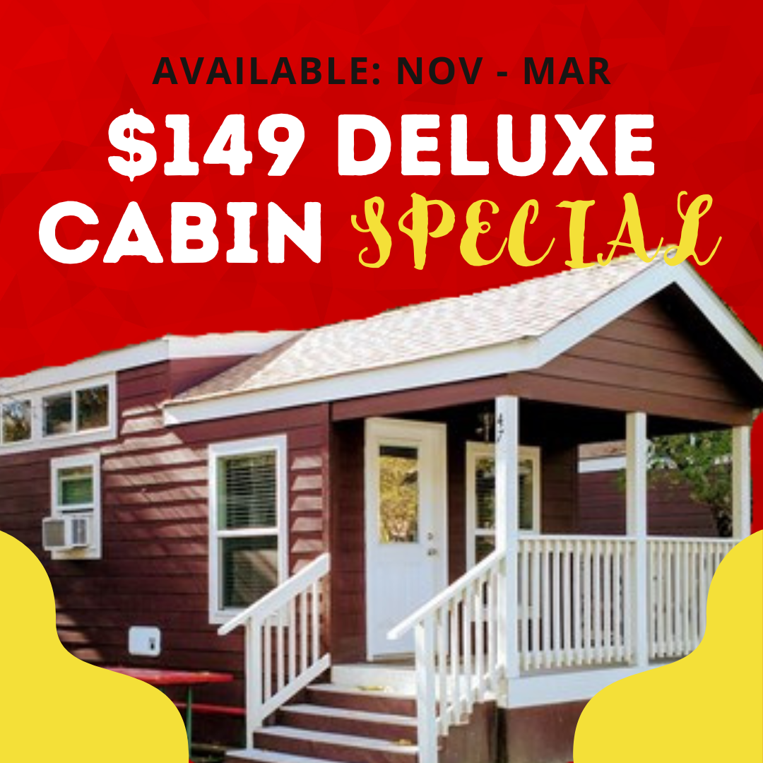 Hot Deal Image